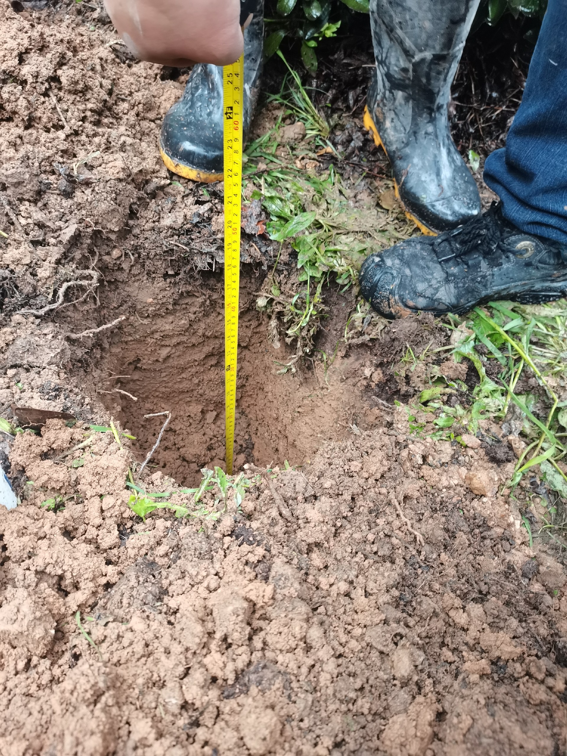 1647223867117753.jpg 1647223867117753.jpg