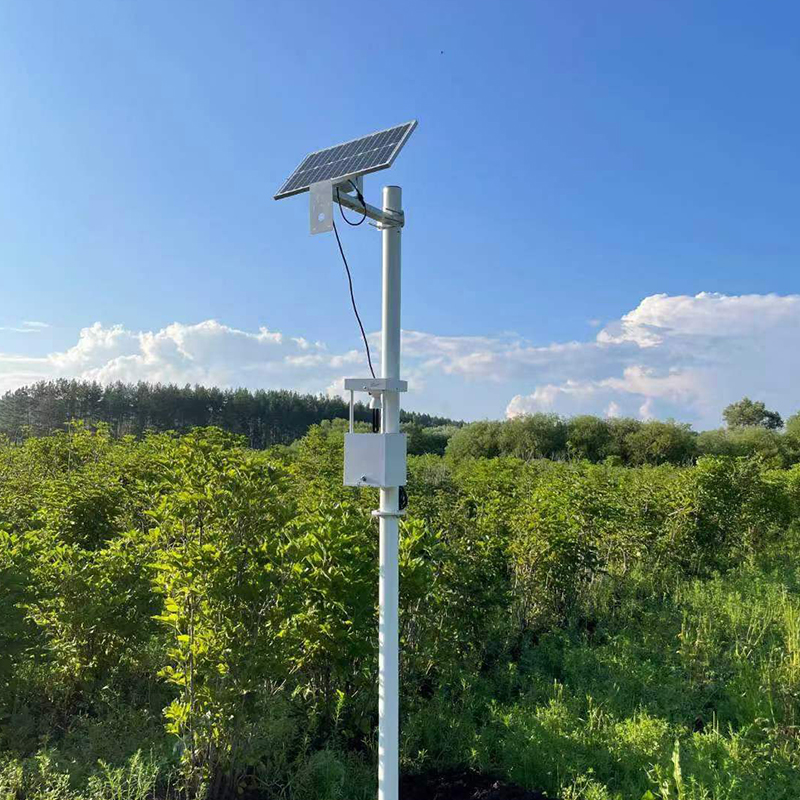 風(fēng)吸式殺蟲(chóng)燈